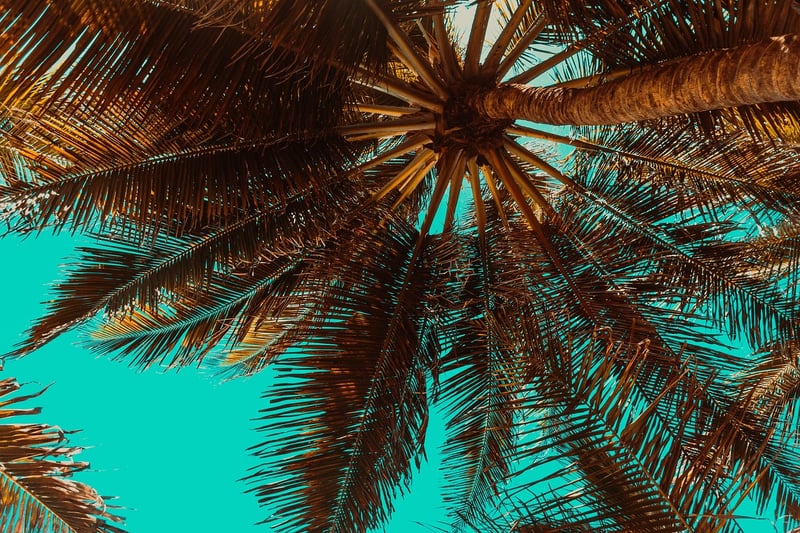 Maldives Island