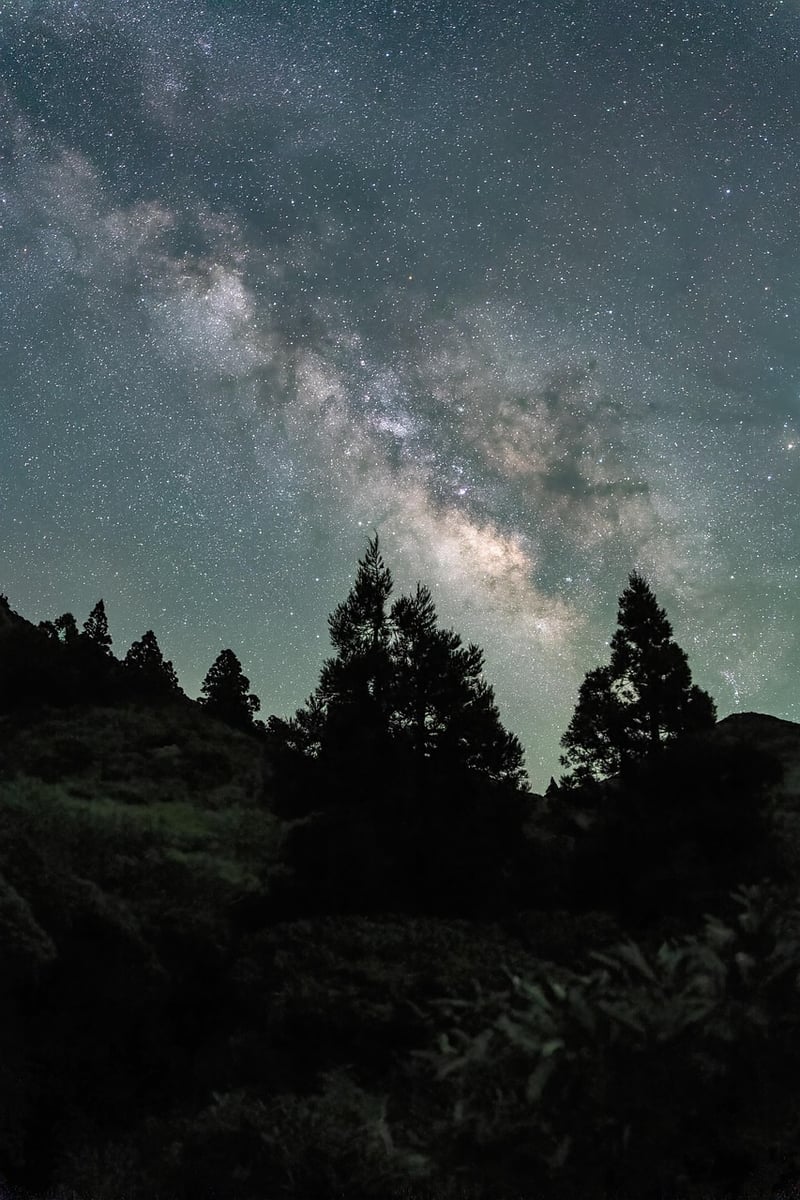 Wilderness Exploration